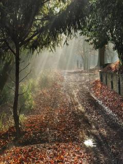 Other Wallpapers 0925